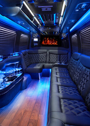 luxurious van